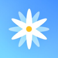 Rear display icon