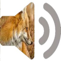 Reclamo zorro icon