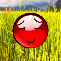 Red Ball Adventure icon