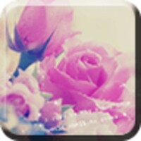 Regal Roses icon