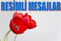 Resimli Mesajlar icon