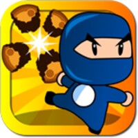 Rock Ninja icon