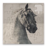 Rompecabezas de Caballos icon