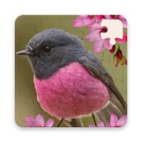 Rompecabezas de Pajaros icon
