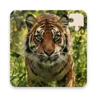 Rompecabezas de Tigres icon