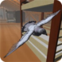 Roofy Bird 1.4