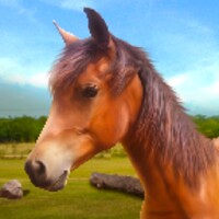 Run Horse Run icon