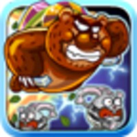 Run Run Bear icon