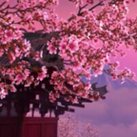 Sakura 3D icon