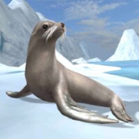 Sea Lion Simulator 3D 1.0