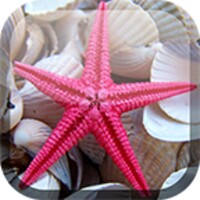 Sea World Live Wallpaper icon