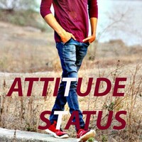 Attitude Status 11.0