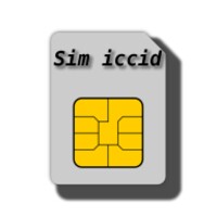 Sim Serial Number ( ICCID ) 2.0.1