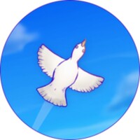 Skyward Journey icon