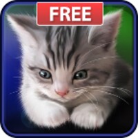 Sleepy Kitten Live Wallpaper icon