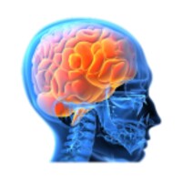 SMART BRAIN icon