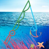 SN Fishing icon