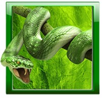 Snake Live Wallpaper icon
