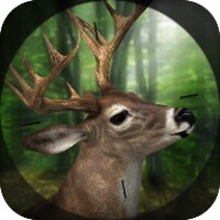 Sniper Hunter 3D 1.05