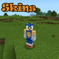 Sonic Skins icon