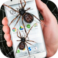 Spider in phone funny joke icon