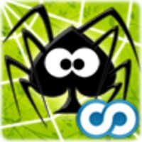Spider Web 5.0.1563