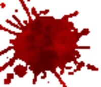 Splat!: Bugs II icon