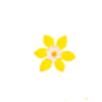 Spring Flowers icon