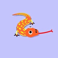 Stealth Lizard! icon