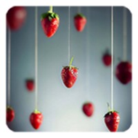 Strawberry Live Wallpaper icon