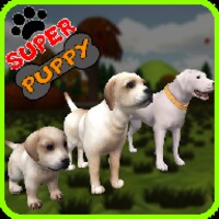 Super Puppy 3D 2.9