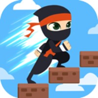 Super Stair icon