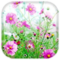Sweet Flowers icon