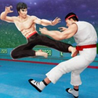 Tag Team Karate Fighting Tiger icon