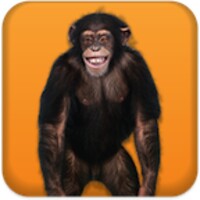 Talking Monkey icon