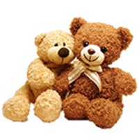 Teddy Bear Live Wallpaper 2.7