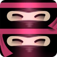 The Last Ninja Twins icon