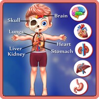 The Learning App - Kids Body Parts Learning icon