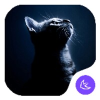 THE QUIET CAT Theme icon