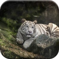 Tiger Live Wallpaper icon