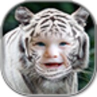 Tiger Photo Frames icon