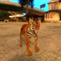 Tiger Simulator icon