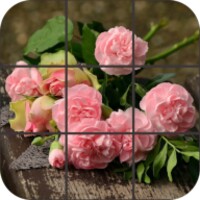 Puzzle Flowers icon