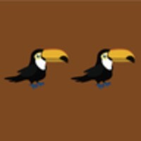 Touch Same Birds icon