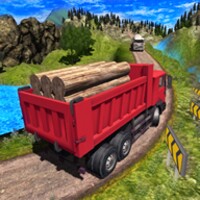 Truck Driver Cargo 8