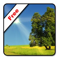 True Weather LWP Free icon