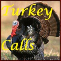 Turkey Calls HD 1.7