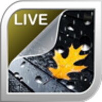 Rain Live Wallpaper icon