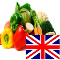 Vegetables in English Language icon