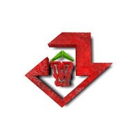 VIP Video downloader icon